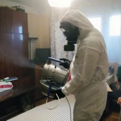 Дезинфекция от клопов в Черемхово