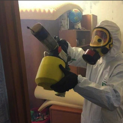 Уничтожение клопов в квартире. Черемхово